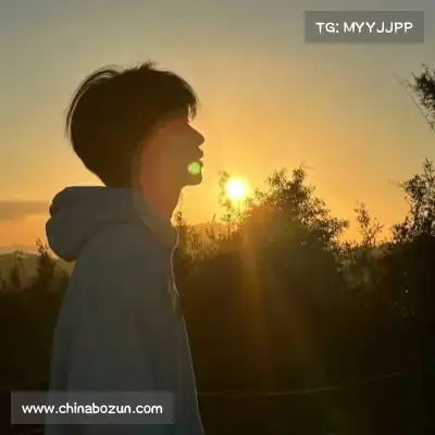 韦希戈